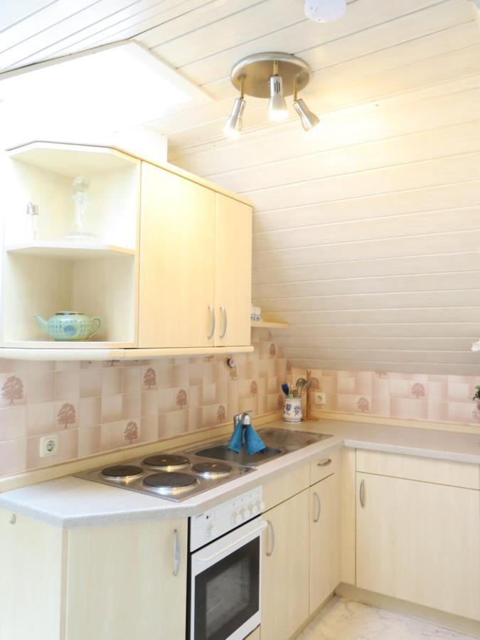 Schone Dachgeschosswohnung In Villa Mit Zentrumsnaher Lage Schleiz Exterior foto